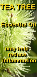 Ormus Minerals Pure Magnesium Oil with Tea Tree Essential Oil bnr